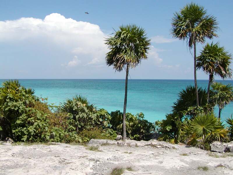 800x600 pixels (93.1K)