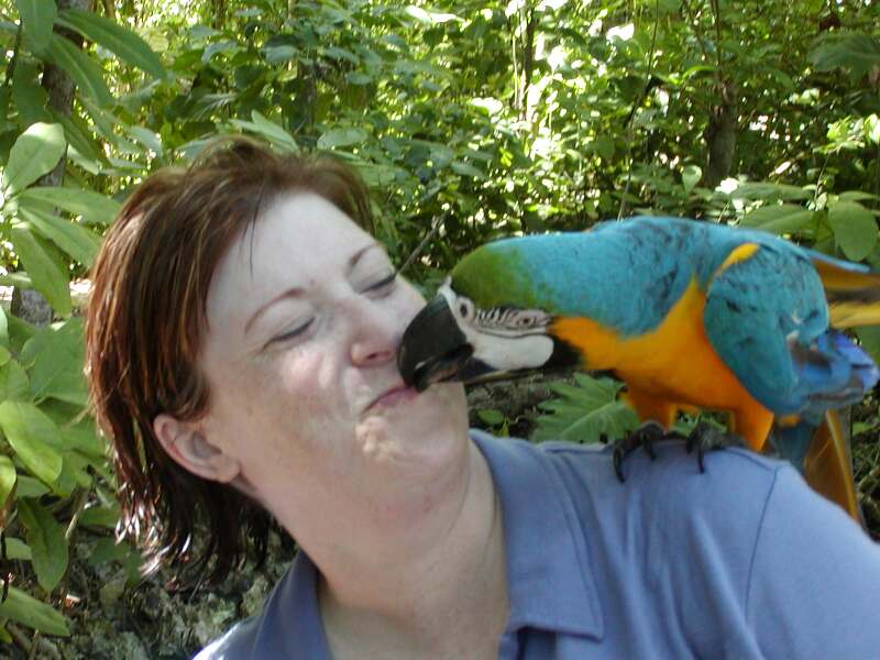 800x600 pixels (80.5K)