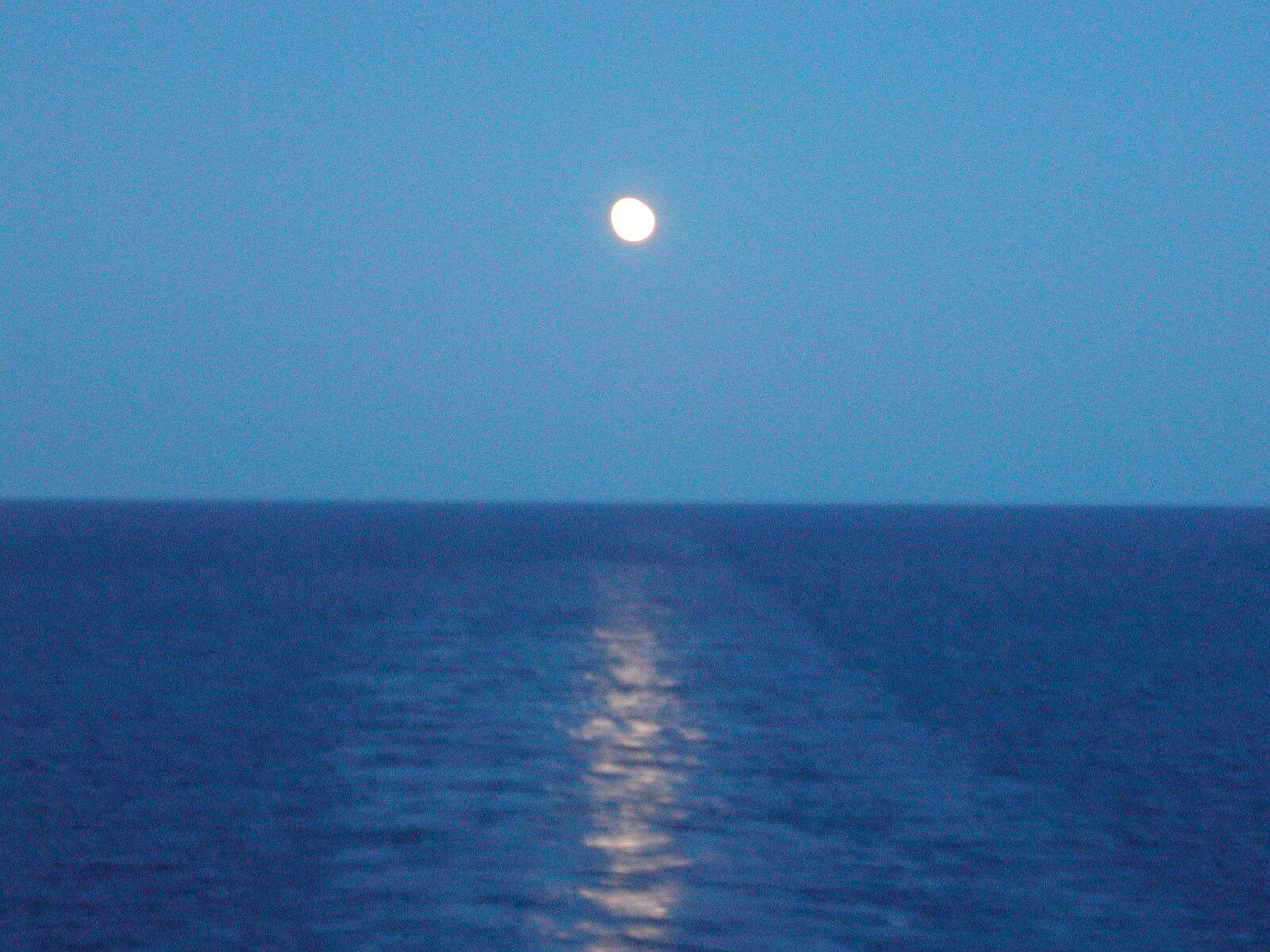 1600x1200 pixels (227.5K)