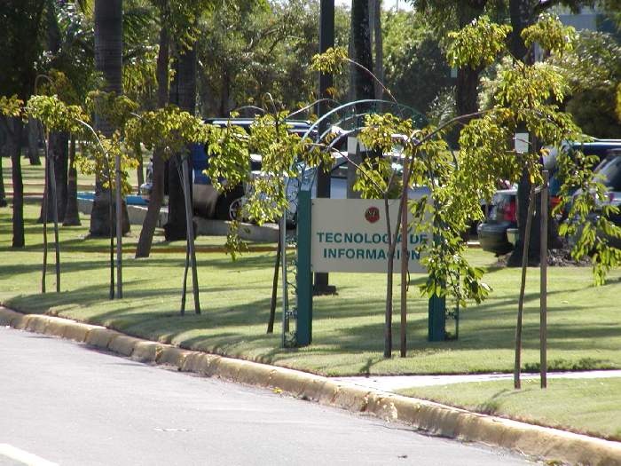 700x525 pixels (87K)