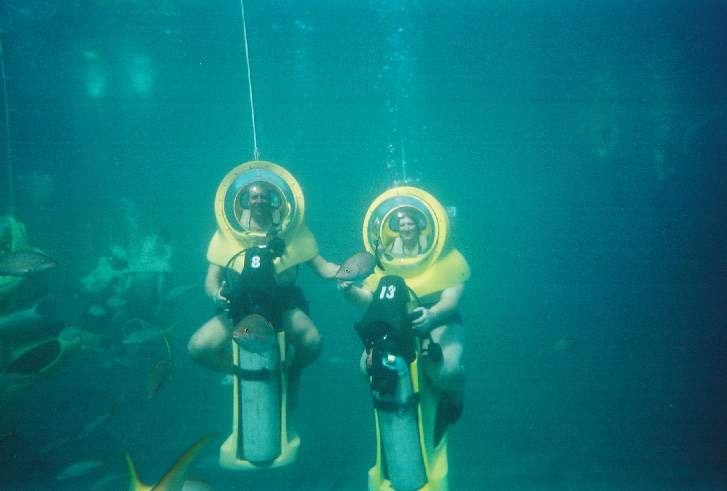 727x491 pixels (24K)