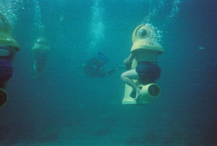 727x491 pixels (24K)