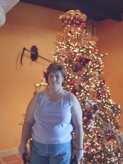 480x640 pixels (51K)