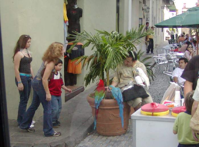 700x516 pixels (59K)