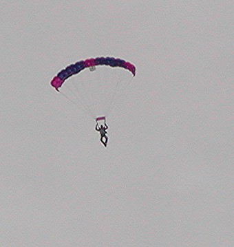 340x359 pixels (22K)