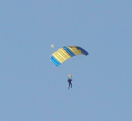 453x414 pixels (24K)